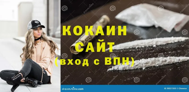 COCAIN Fish Scale  купить закладку  Красноармейск 